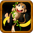 Icon of program: Jungle Monkey Rush : Eat …