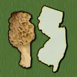 Icon of program: New Jersey Mushroom Forag…