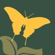 Icon of program: NWF Guide to Butterflies