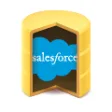 Icon of program: Salesforce ODBC driver (3…