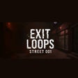 Icon of program: Exit Loops - Street 001