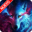 Icono de programa: Lobo Fondos de Pantalla