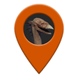 Icono de programa: Kenshi Map
