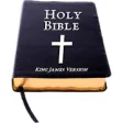 Icon of program: King James Bible (KJV) Fr…