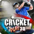 Icon of program: Cricket Play 3D: Live The…