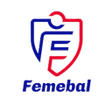 Icon of program: Femebal Community LarryS…