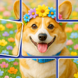 Icon of program: Jigdom: Jigblock Puzzle
