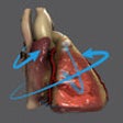 Icon of program: Stanford Health Care Anat…