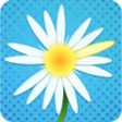 Icono de programa: Multiplayer Daisy Petals