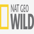 Icono de programa: Nat Geo Wild for Windows …