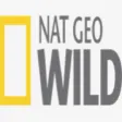 Icon of program: Nat Geo Wild for Windows …