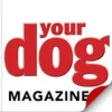 Icon of program: Your Dog Britains best-se…
