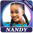 Icon of program: Nandy songs offline