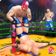 Icono de programa: Wrestling Superstars Revo…