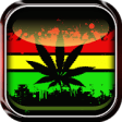 Icon of program: Weed Live Wallpaper