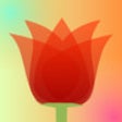 Icon of program: LiveDOF - Blur Tiltshift …