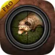 Icon of program: Virtual Hunting : Bear Pr…