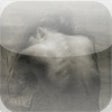 Icon of program: The Artwork of Juliette A…