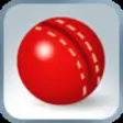 Icon of program: Practice Cricket
