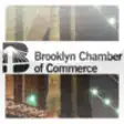 Icon of program: Brooklyn Chamber of Comme…