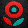 Icon of program: Pin Sport app