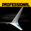 Icon of program: Flight 737 - Maximum