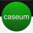 Icon of program: Caseum for iPad