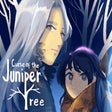 Icon of program: Curse of the Juniper Tree