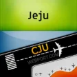 Icon of program: Jeju International Airpor…