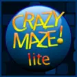 Icon of program: Crazy Maze Lite for Windo…