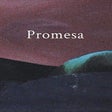 Icon of program: Promesa