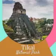 Icon of program: Tikal National Park