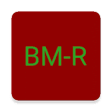 Icon of program: DMR BrandMeister repeater…