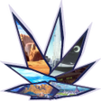 Icon of program: Anime Dimensional Fight