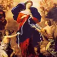 Icon of program: Novena to Mary