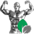 Icon of program: The High Intensity Toolki…