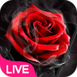 Icon of program: Smoke Red Rose Live Wallp…