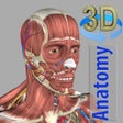 Icon of program: 3D Anatomy