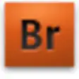 Icon of program: Adobe Bridge CSS