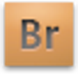 Icono de programa: Adobe Bridge CSS