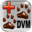 Icon of program: DVM Calc