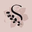 Icono de programa: Silk Sonder