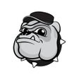 Icono de programa: Bulldog VPN - Unlimited V…