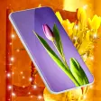 Icon of program: Tulip Magic Flowers  4K S…