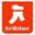 Icon of program: Tribler for Fedora