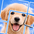 Icon of program: Jigcard: Sort Puzzle
