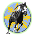 Icon of program: Horse Racing Tips and Sim…