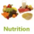 Icon of program: Nutrition database for Wi…