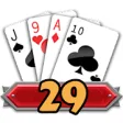 Icon of program: 29 Card Game Challenge