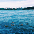 Icono de programa: Tashlich Prayer -